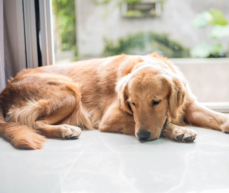 Exemples d&rsquo;urgences