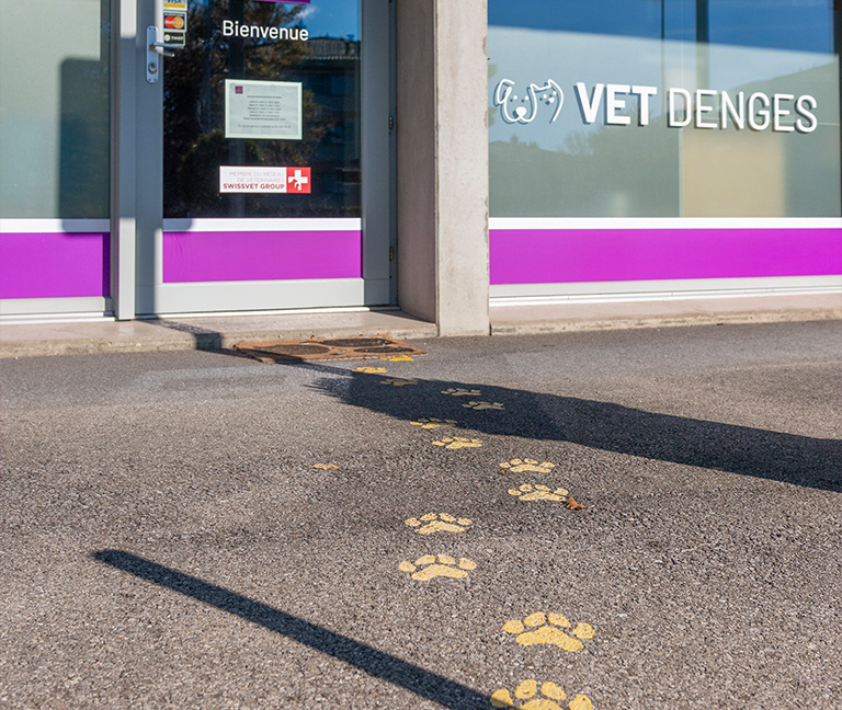 Profils recherch&eacute;s